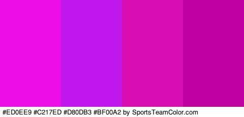 #ED0EE9 #C217ED #D80DB3 #BF00A2 Colors