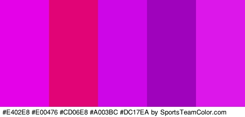 #E402E8 #E00476 #CD06E8 #A003BC #DC17EA Colors