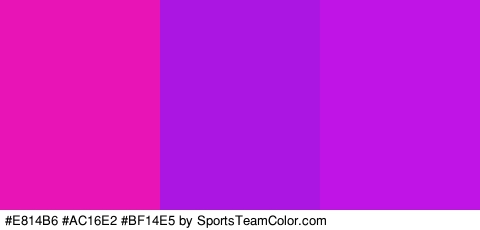 #E814B6 #AC16E2 #BF14E5 Colors