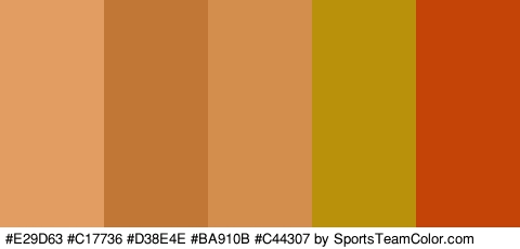 #E29D63 #C17736 #D38E4E #BA910B #C44307 Colors