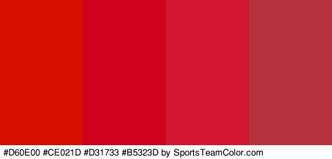 #D60E00 #CE021D #D31733 #B5323D Colors