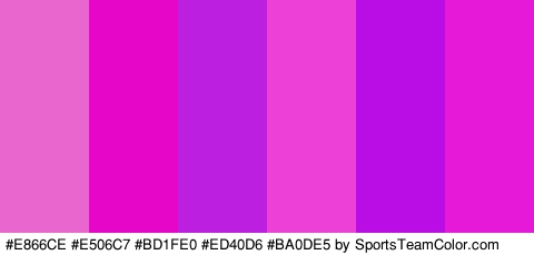 #E866CE #E506C7 #BD1FE0 #ED40D6 #BA0DE5 #E519D7 Colors