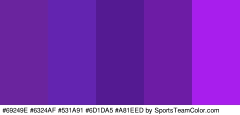 #69249E #6324AF #531A91 #6D1DA5 #A81EED Colors