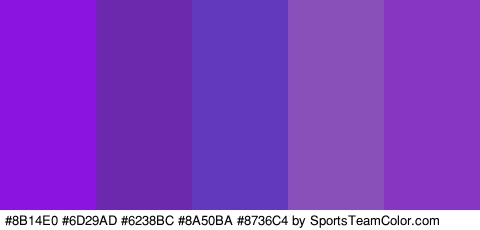 #8B14E0 #6D29AD #6238BC #8A50BA #8736C4 Colors