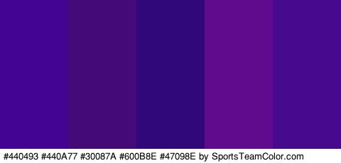 #440493 #440A77 #30087A #600B8E #47098E Colors