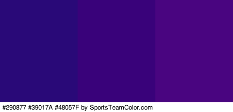 #290877 #39017A #48057F Colors