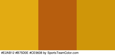 #E2AB12 #B75D0E #CE9608 Colors