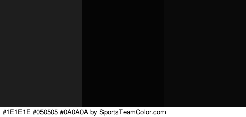 #1E1E1E #050505 #0A0A0A Colors