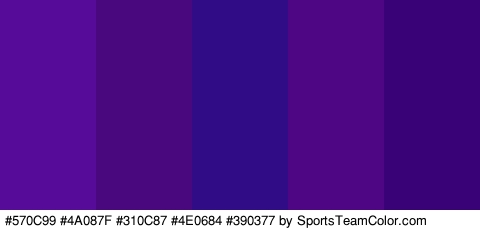 #570C99 #4A087F #310C87 #4E0684 #390377 Colors