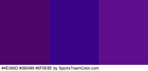 #4E066D #390489 #5F0E8E Colors