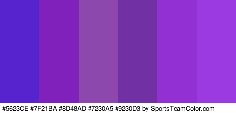 #5623CE #7F21BA #8D48AD #7230A5 #9230D3 #9B3AE0 Colors