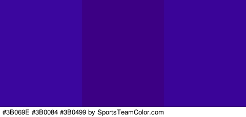 #3B069E #3B0084 #3B0499 Colors