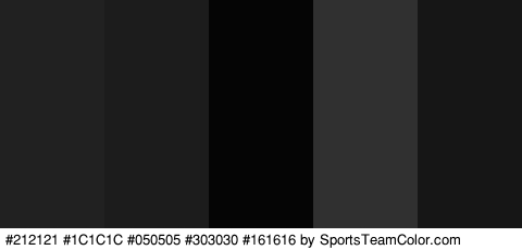 #212121 #1C1C1C #050505 #303030 #161616 Colors