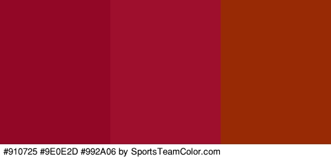 #910725 #9E0E2D #992A06 Colors