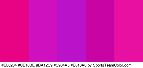 #E80284 #CE10BE #BA12C9 #C904A5 #E810A0 Colors