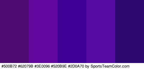 #500B72 #62079B #3E0096 #520B9E #2D0A70 Colors