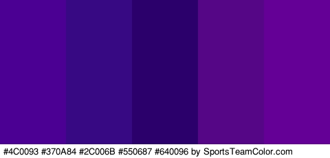 #4C0093 #370A84 #2C006B #550687 #640096 Colors