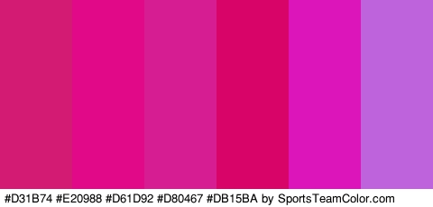 #D31B74 #E20988 #D61D92 #D80467 #DB15BA #BF63DD Colors