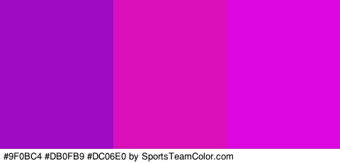 #9F0BC4 #DB0FB9 #DC06E0 Colors