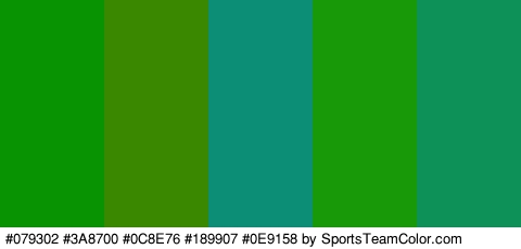 #079302 #3A8700 #0C8E76 #189907 #0E9158 Colors