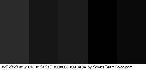 #2B2B2B #161616 #1C1C1C #000000 #0A0A0A Colors