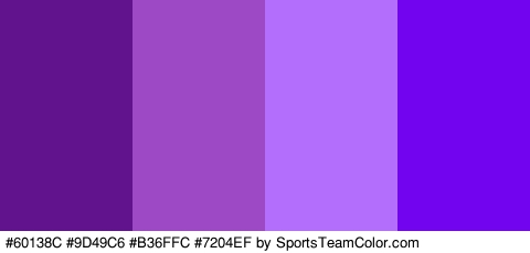 #60138C #9D49C6 #B36FFC #7204EF Colors