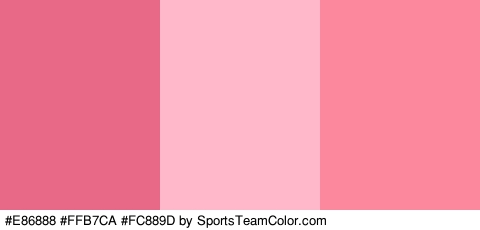 #E86888 #FFB7CA #FC889D Colors