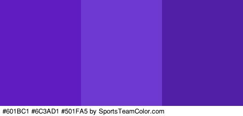 #601BC1 #6C3AD1 #501FA5 Colors