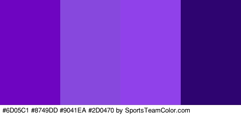 #6D05C1 #8749DD #9041EA #2D0470 Colors