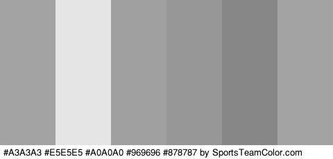 #A3A3A3 #E5E5E5 #A0A0A0 #969696 #878787 #A3A3A3 Colors