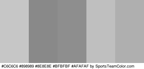 #C6C6C6 #898989 #8E8E8E #BFBFBF #AFAFAF Colors