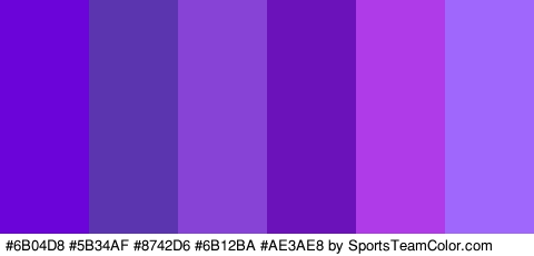 #6B04D8 #5B34AF #8742D6 #6B12BA #AE3AE8 #A067FC Colors