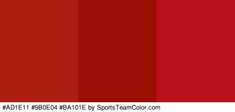 #AD1E11 #9B0E04 #BA101E Colors