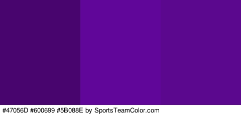 #47056D #600699 #5B088E Colors