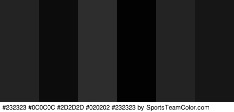 #232323 #0C0C0C #2D2D2D #020202 #232323 #161616 Colors