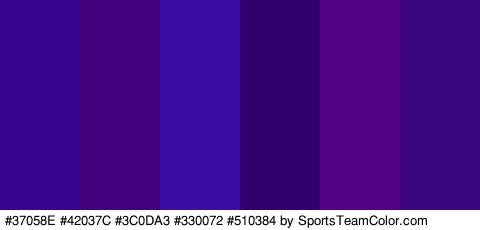 #37058E #42037C #3C0DA3 #330072 #510384 #38077C Colors