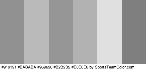 #919191 #BABABA #969696 #B2B2B2 #E0E0E0 #7F7F7F Colors