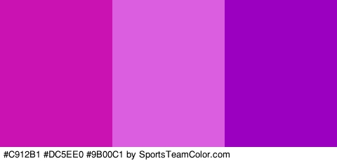 #C912B1 #DC5EE0 #9B00C1 Colors