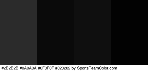 #2B2B2B #0A0A0A #0F0F0F #020202 Colors