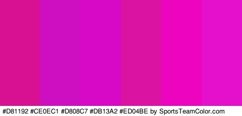 #D81192 #CE0EC1 #D808C7 #DB13A2 #ED04BE #E510CC Colors