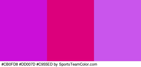 #CB0FD8 #DD007D #C955ED Colors