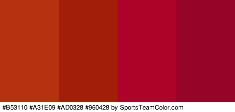 #B53110 #A31E09 #AD0328 #960428 Colors