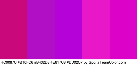 #C9087C #B10FC6 #B402D8 #E817C8 #DD02C7 Colors