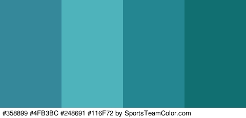 #358899 #4FB3BC #248691 #116F72 Colors