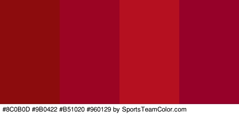 #8C0B0D #9B0422 #B51020 #960129 Colors