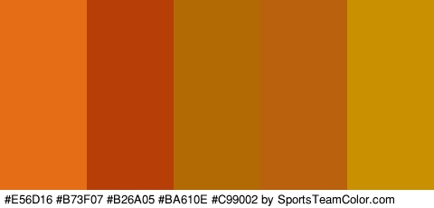 #E56D16 #B73F07 #B26A05 #BA610E #C99002 Colors