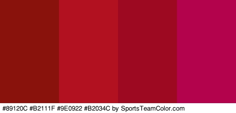 #89120C #B2111F #9E0922 #B2034C Colors