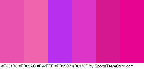 #E851B0 #ED63AC #B92FEF #DD35C7 #D6178D #E80490 Colors