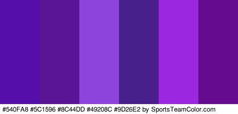 #540FA8 #5C1596 #8C44DD #49208C #9D26E2 #650C8E Colors