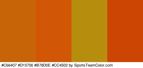 #C66407 #D15706 #B78D0E #CC4502 Colors